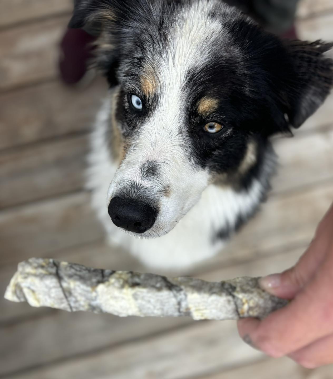 Spoiled Rawt'n product selection