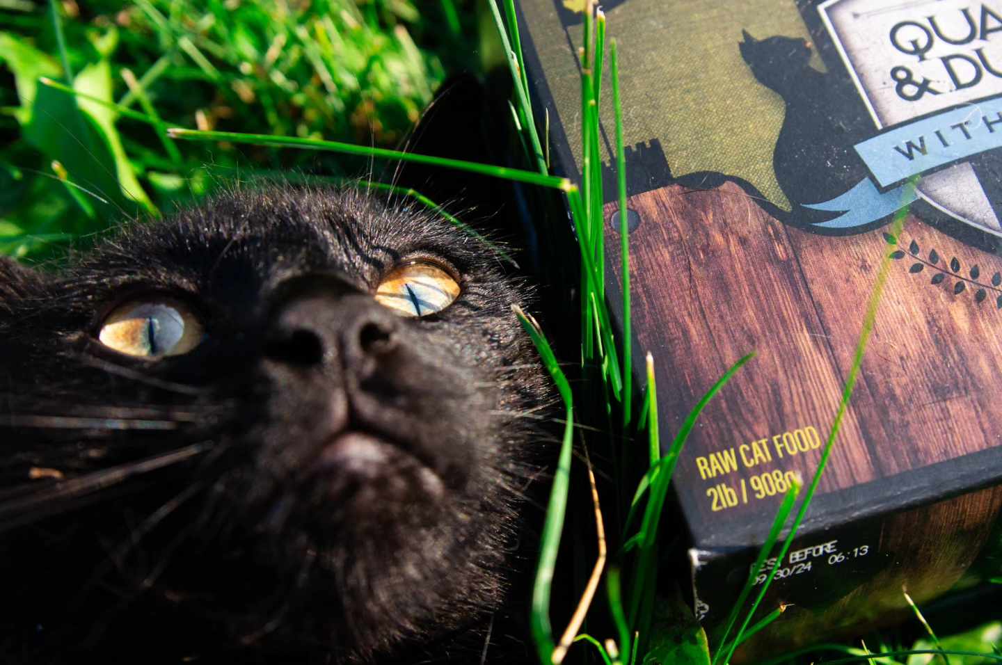 Inside Spoiled Rawt'n pet supply store