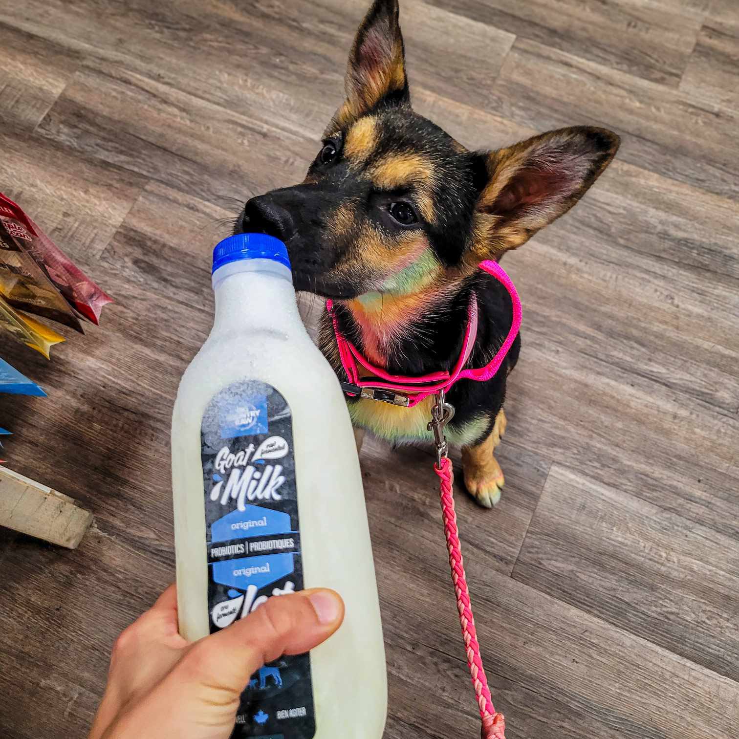 Natural treats and products at Spoiled Rawt'n