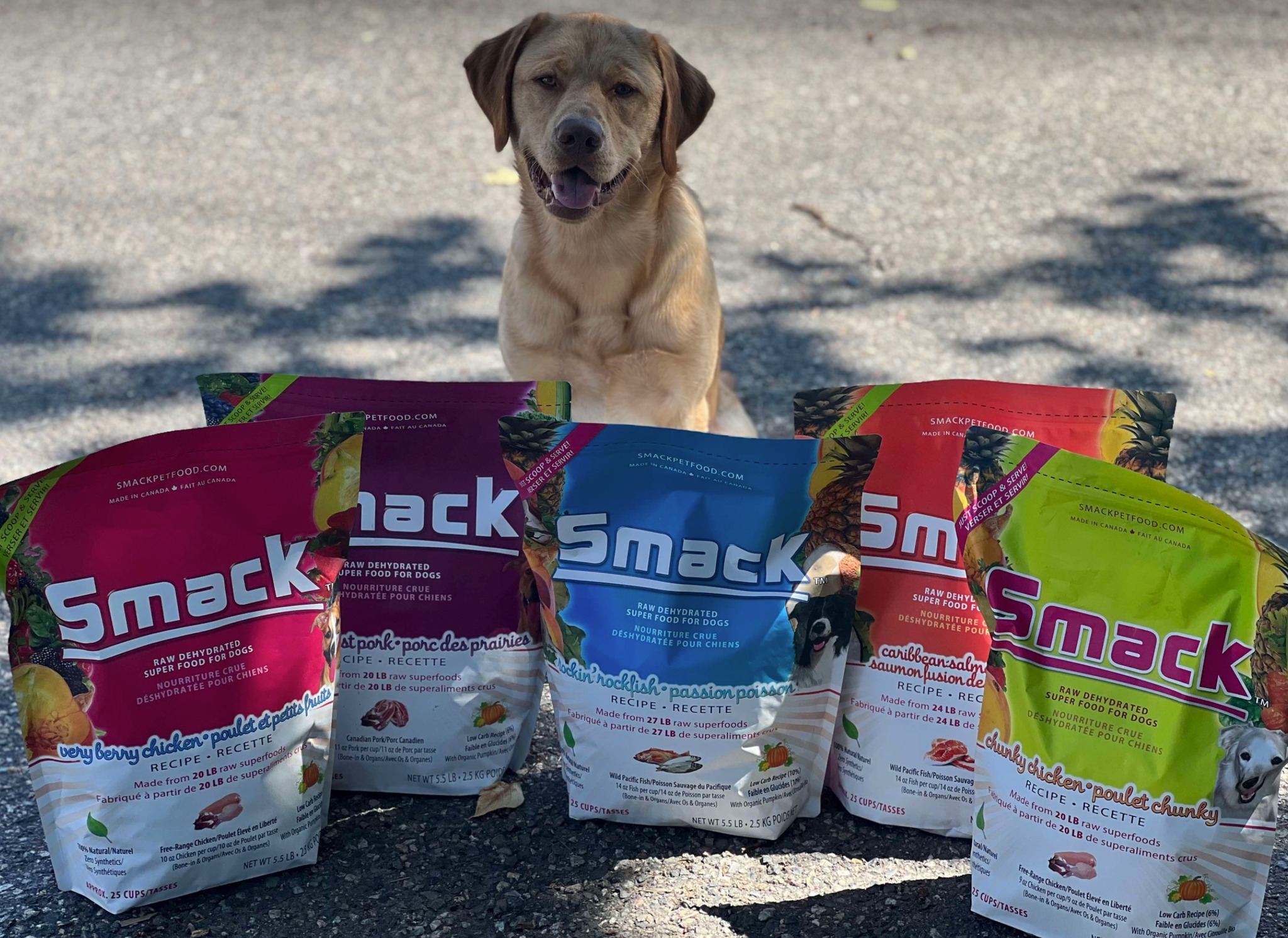 Spoiled Rawt'n pet food store interior showcasing natural raw food products