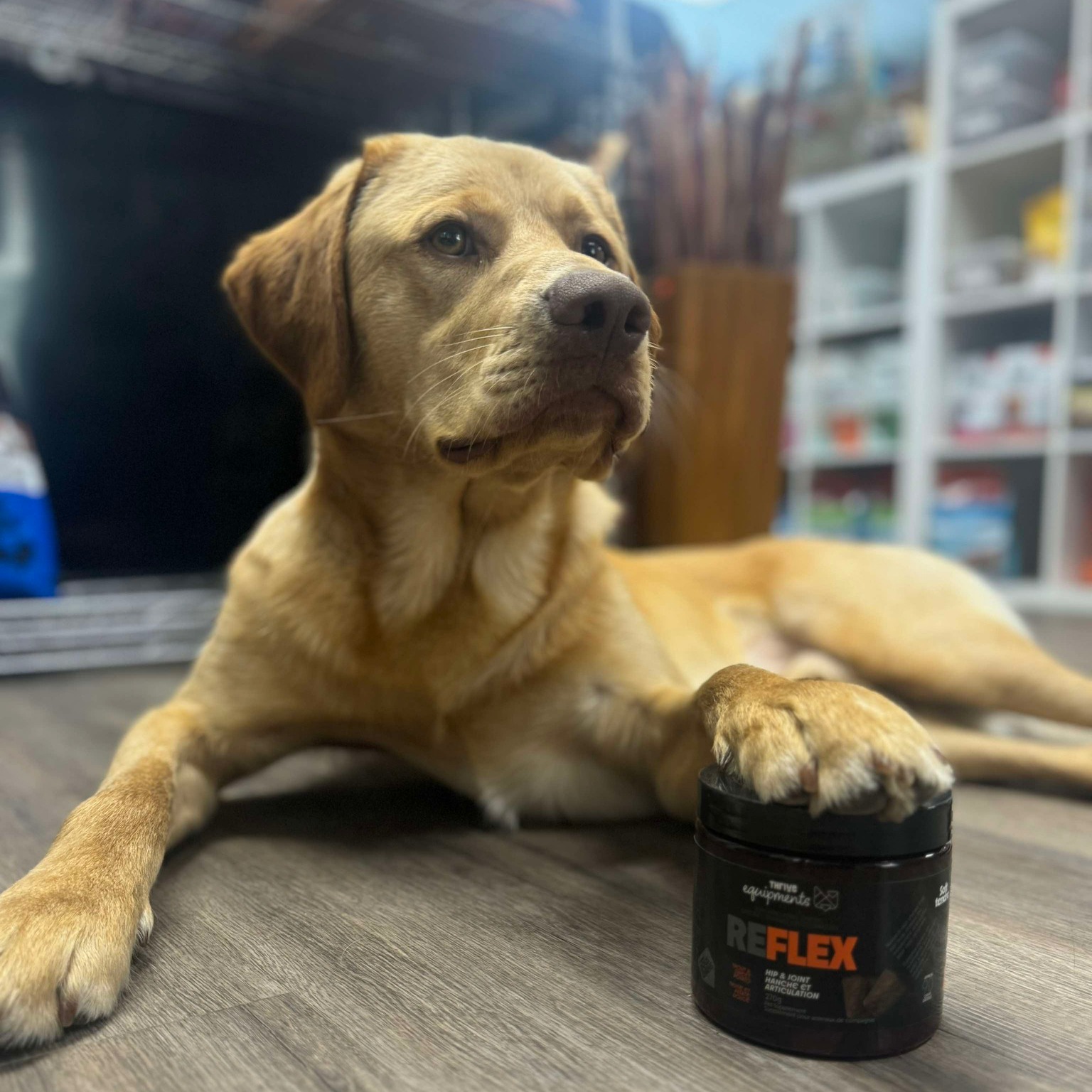 Pet food products at Spoiled Rawt'n