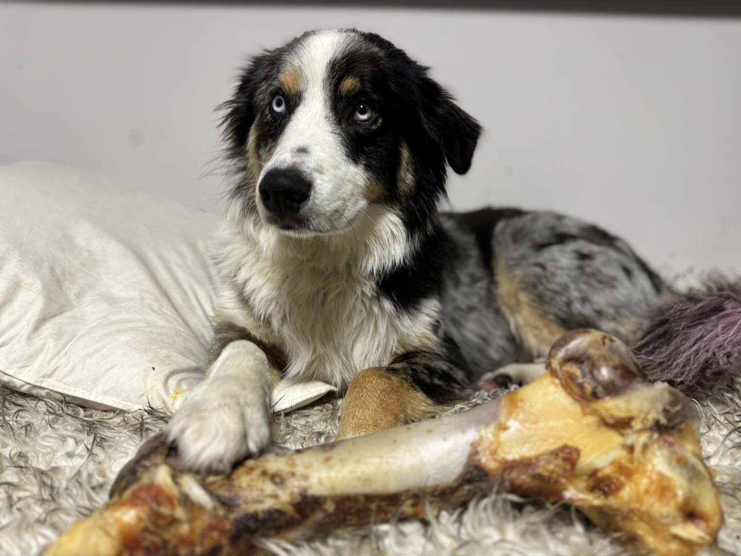 Raw food products on display at Spoiled Rawt'n