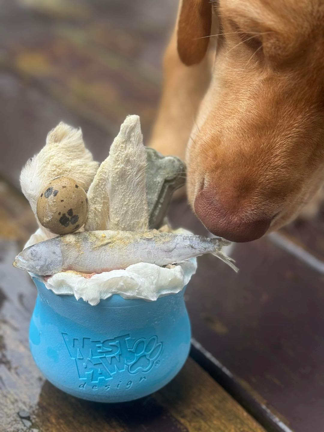 Nutrition consulting at Spoiled Rawt'n