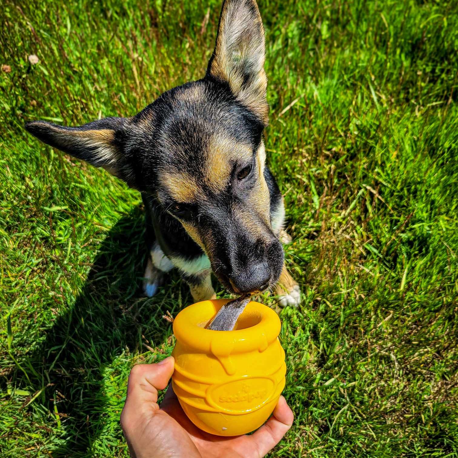 Spoiled Rawt'n store products